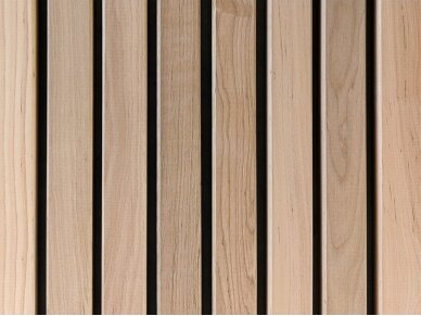 PAVYZDYS | Pirties gulto lenta, SHP, 27x42mm 2 PAVYZDYS | Pirties gulto lenta, SHP, 27x42mm 2