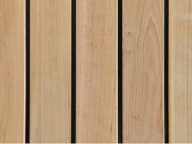 PAVYZDYS | Pirties gulto lenta, SHP, 27x88mm 2
