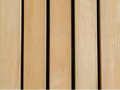 PAVYZDYS | Pirties gulto lenta, SHP, 27x65mm 2 PAVYZDYS | Pirties gulto lenta, SHP, 27x65mm 2