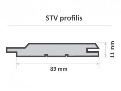 PAVYZDYS | Boazeria, STV, 11x89mm 3