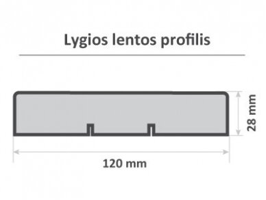 Terasinė lenta, lygi, impregnuota, 28x120x4800mm 3
