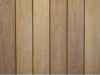 Boazeria, STS4, 12x63x2000mm 2